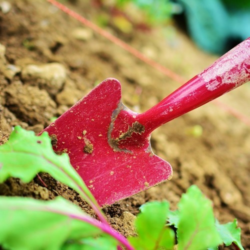 1. Arbeitseinsatz 2026